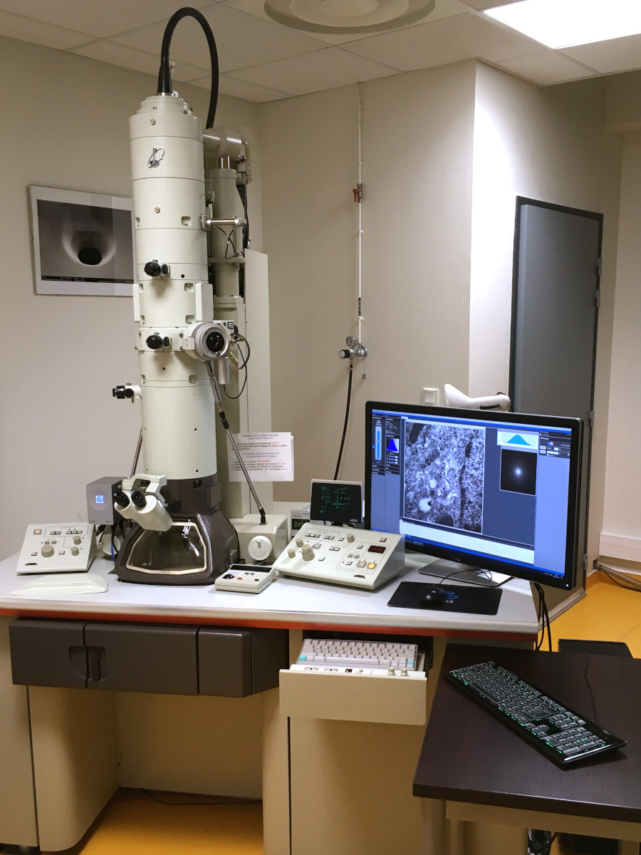 Microscope Electronique à Transmission JEOL JEM-1011 (100 kV)