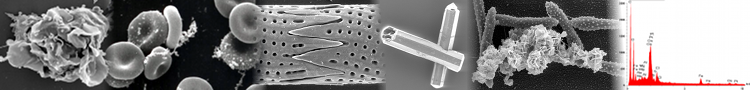 Plateforme de Microscopie
