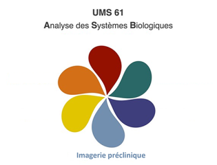 Imagerie-préclinique