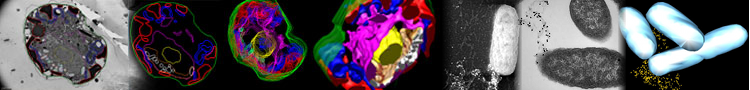 Plateforme de Microscopie