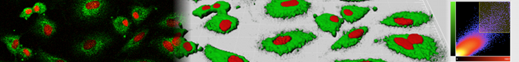 Plateforme de Microscopie