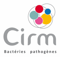 Logo CIRM-BP