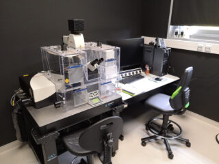 DescriptionEquipement_IMI_MICROSCOPIE_LEICA-SP8_img