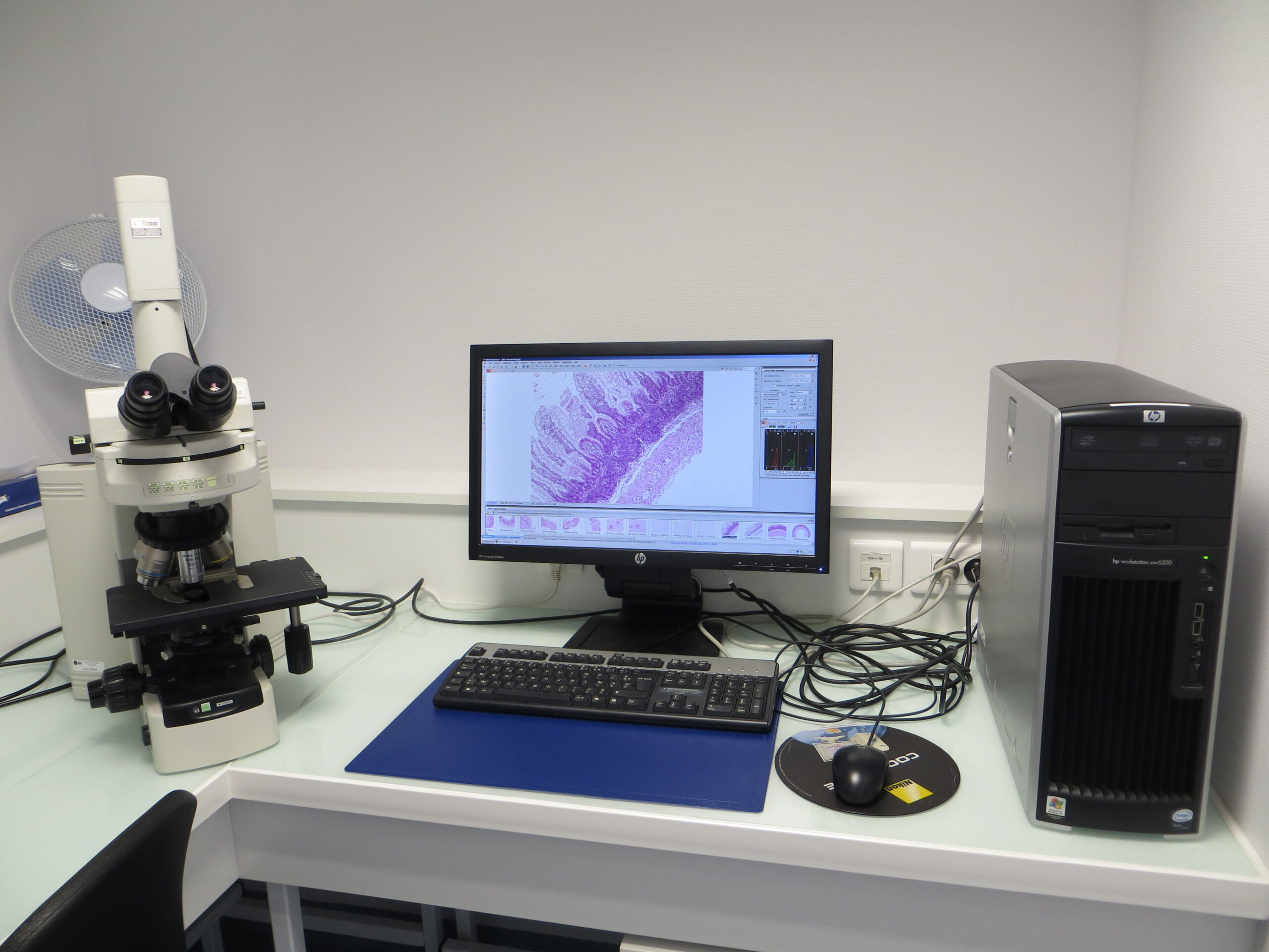 Microscope champ large 80i Nikon