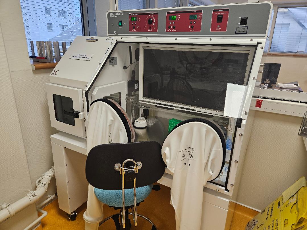 Station d’hypoxie Bactrox SHEL LAB