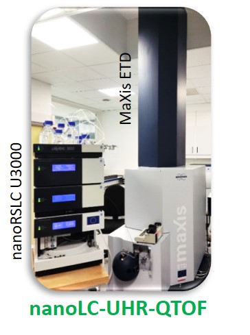ESI-UHR-Q/TOF MaXis-ETD (Bruker)