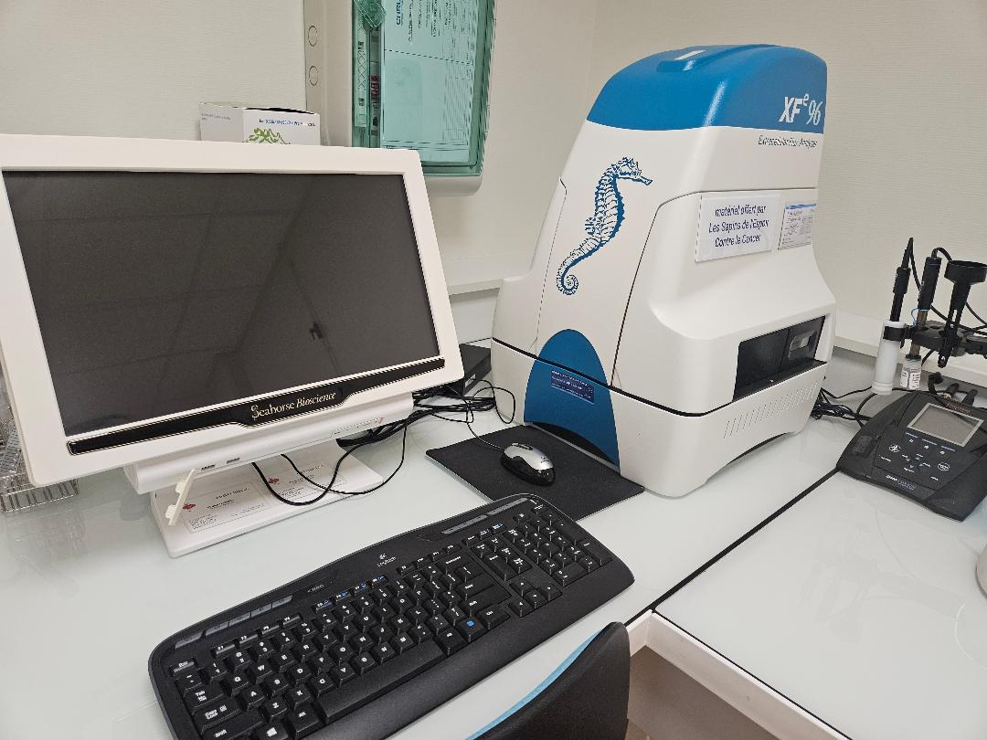 Analyseur Seahorse XFe96 Agilent