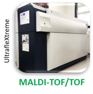 MALDI-TOF/TOF UltrafleXtreme (Bruker)