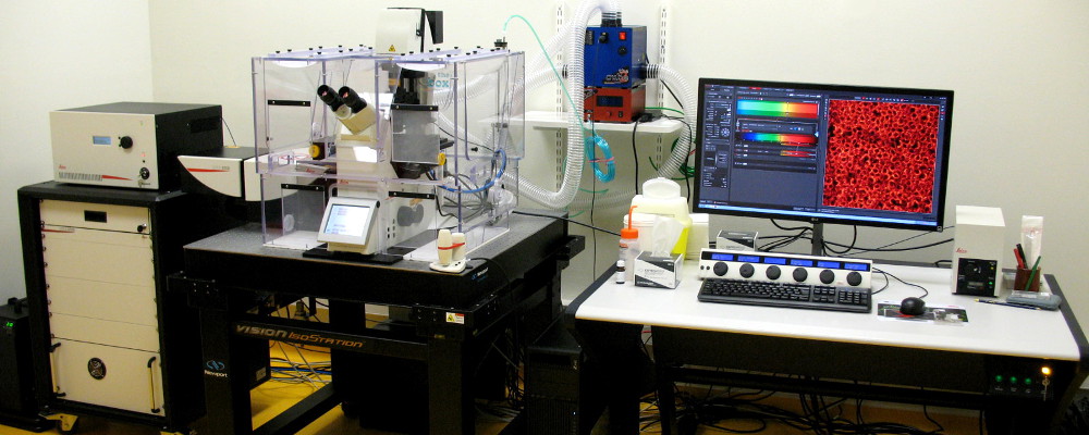Microscope Confocal à Balayage Laser Haute Résolution LEICA SP8 gSTED