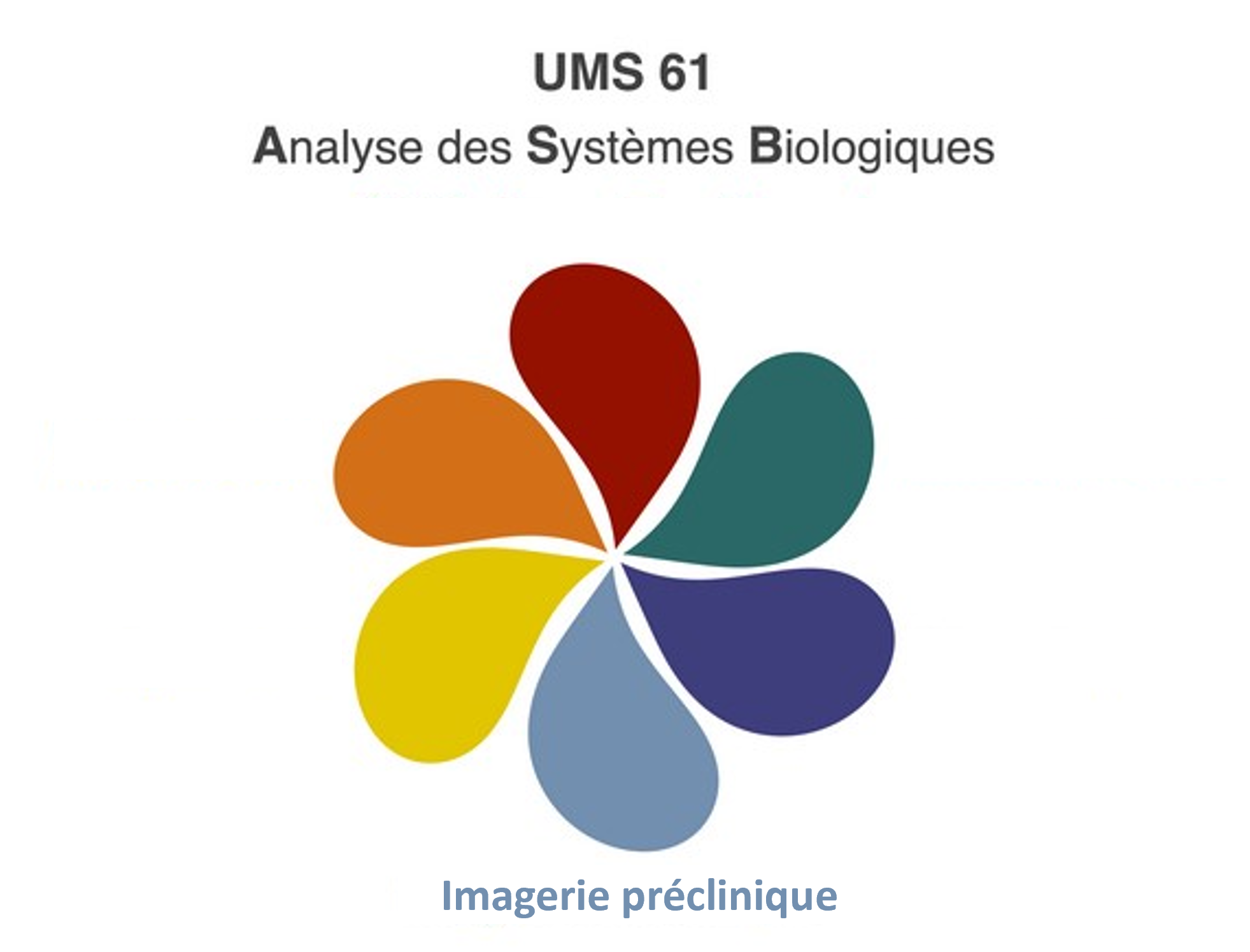 Imagerie-preclinique